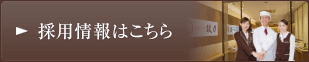 採用情報はこちら