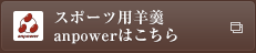 スポーツ用羊羹 anpower はこちら