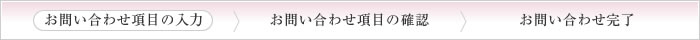 お問い合わせ項目の入力